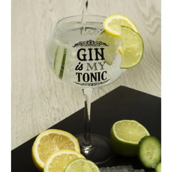 Gin is my tonic gin glass in a gift box