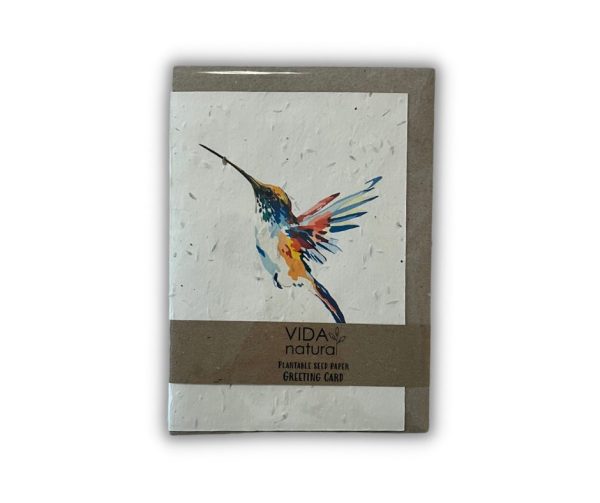 Hummingbird seed card