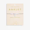 Blue Agate Anklet