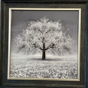 White Blossom Tree Wall Art