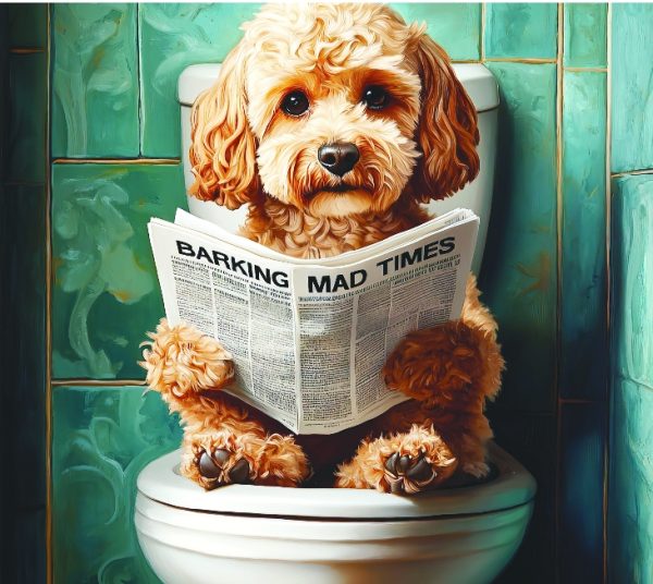 Cockapoo Tan Daily Wall Art