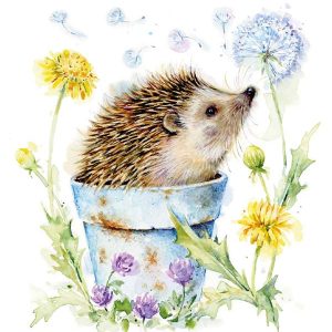 TX32_49645 Hedgehog in Plant Pot Mini Note Card