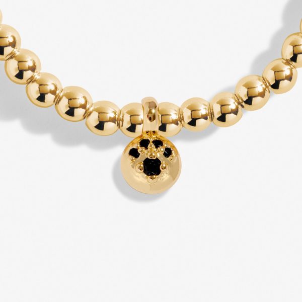 A Little Paw Print Gold