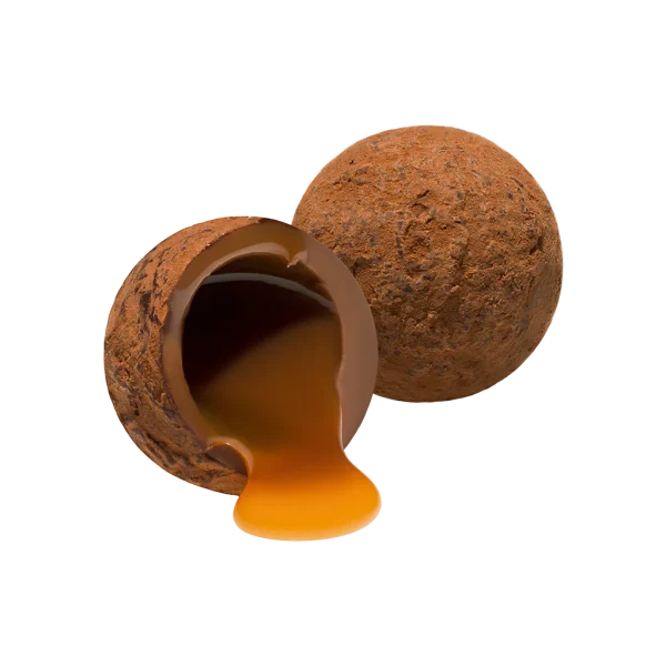 Salted Caramel Truffles