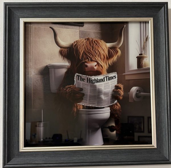 Highland Cow Daily News Wall Art