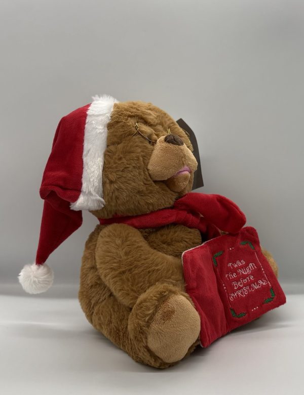 Animated Telling Story Bear with Book