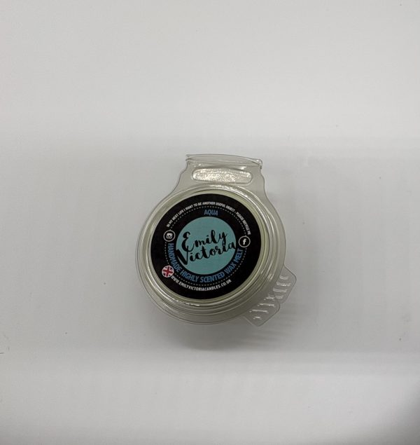 IMG_2884 Wax Melt Aqua