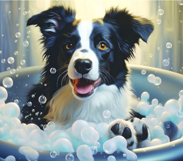 Border Collie in Bath Wall Art