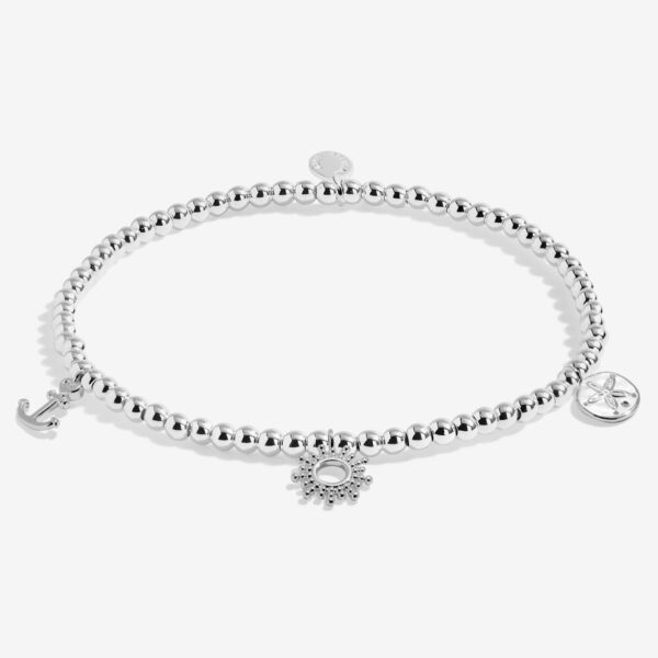 Anklet Charms
