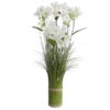 Grass Bundle White Calleryana 65cm