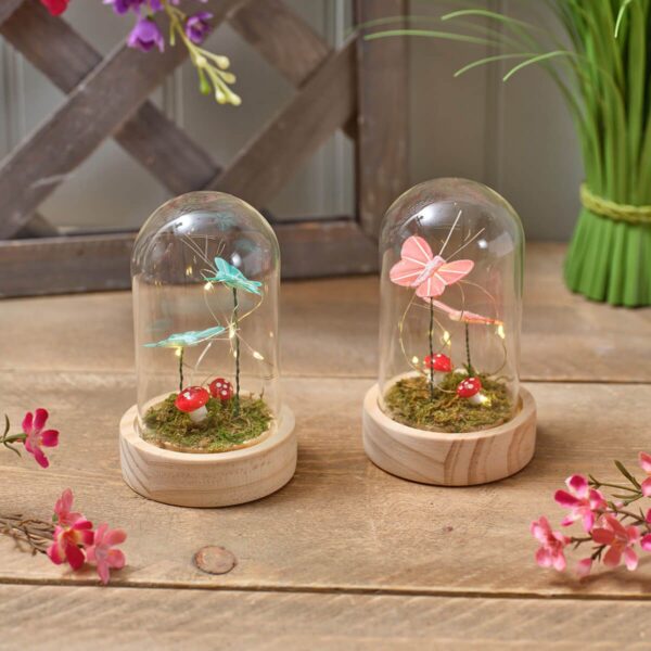 Glass Dome Butterflies