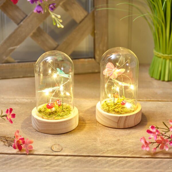 Glass Dome Butterflies