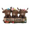 Welcome Highland Cow